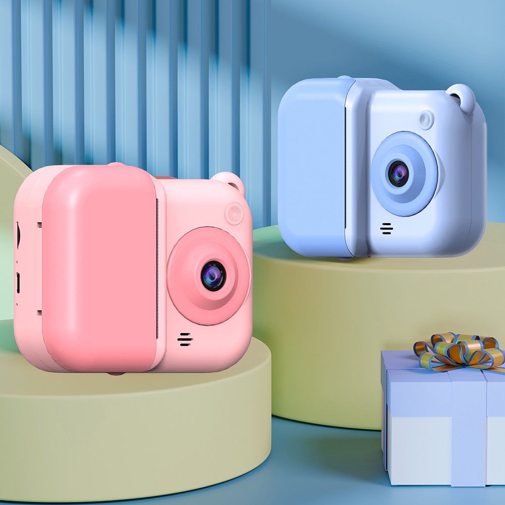 Digital Cameras 