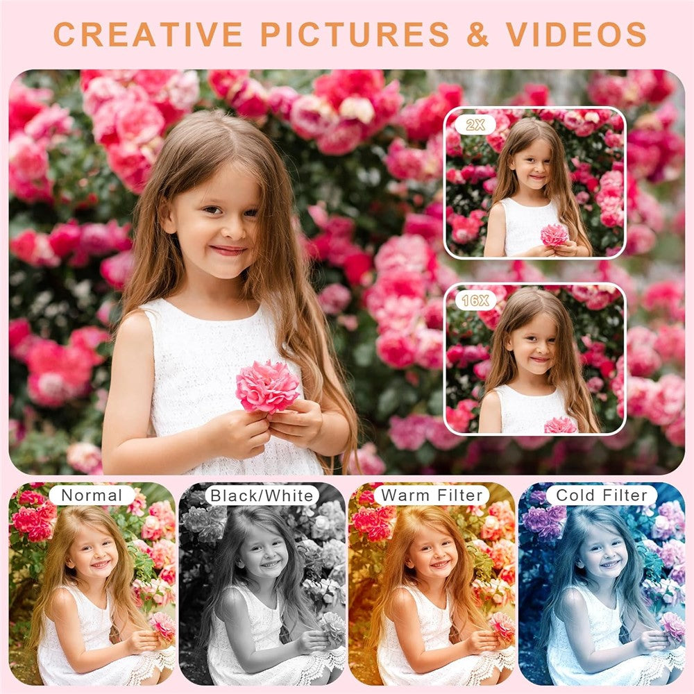 Digital Cameras 