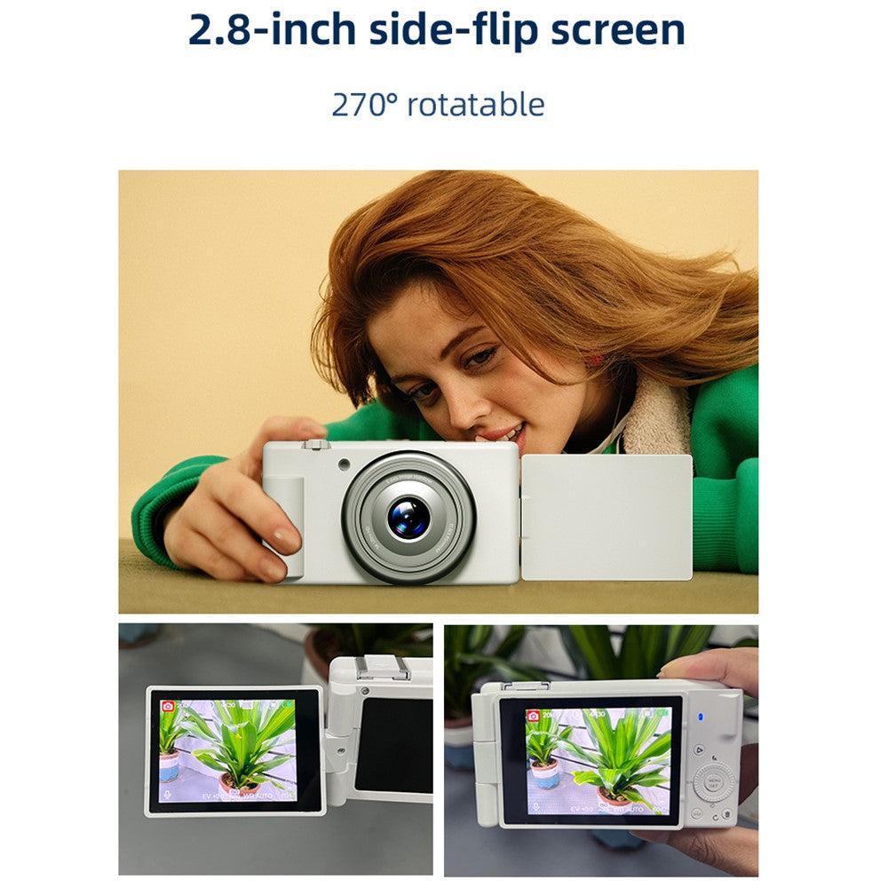 Digital Cameras 