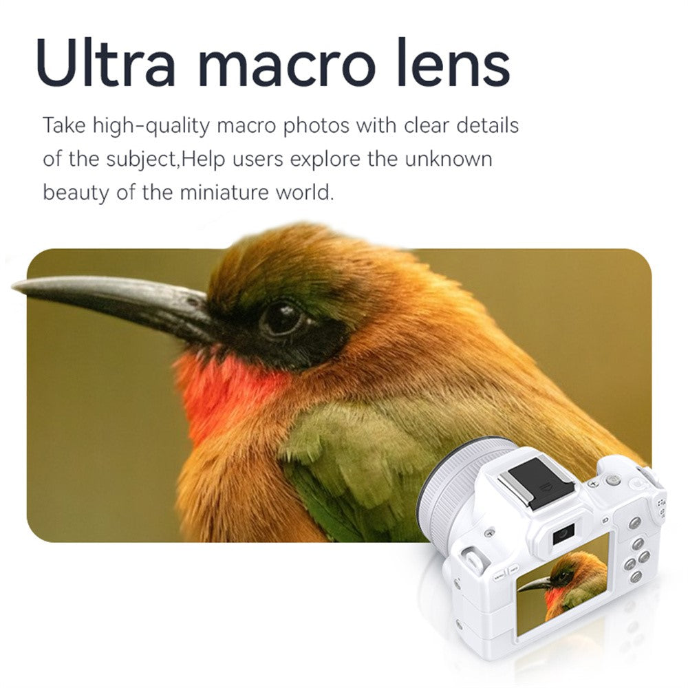 Digital Cameras 