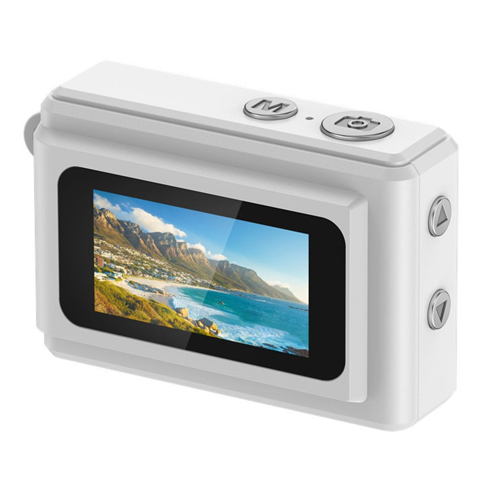 Digital Cameras 