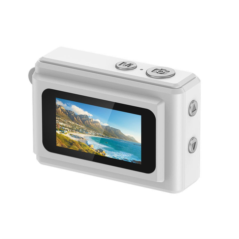 Digital Cameras 