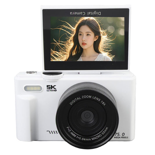 Digital Cameras 