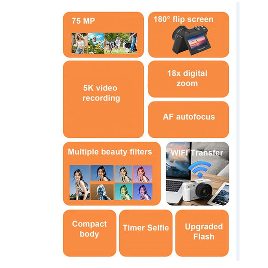 Digital Cameras 