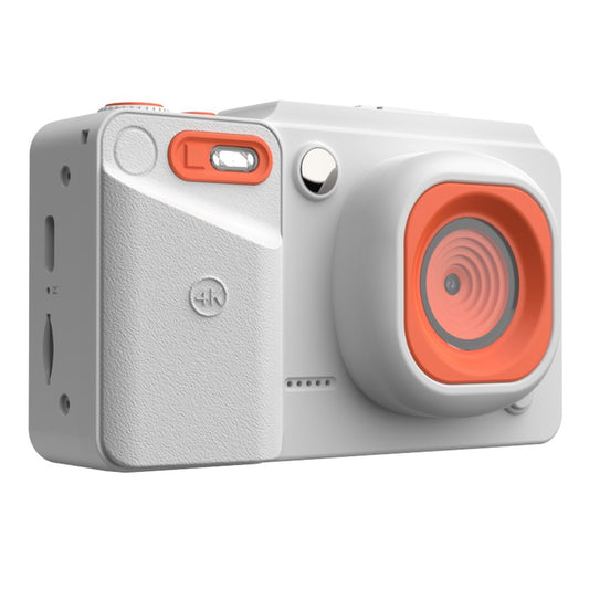 Digital Cameras 