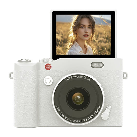 Digital Cameras 