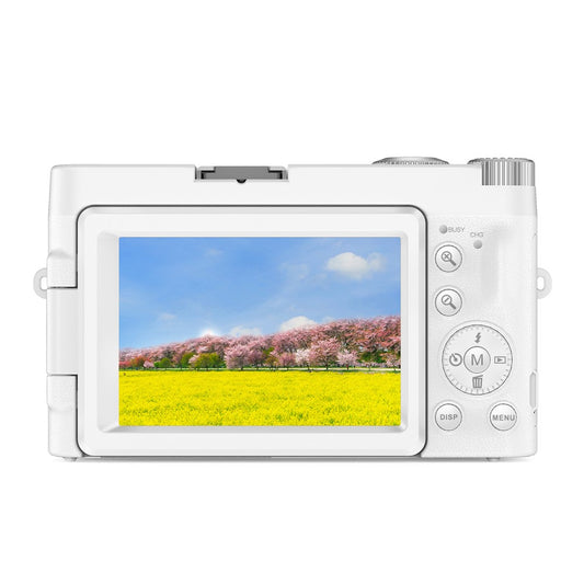 Digital Cameras 