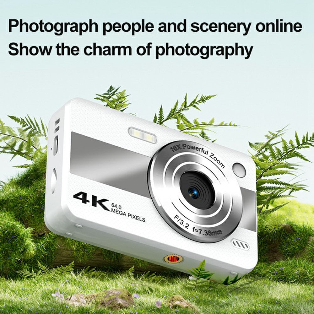 Digital Cameras 