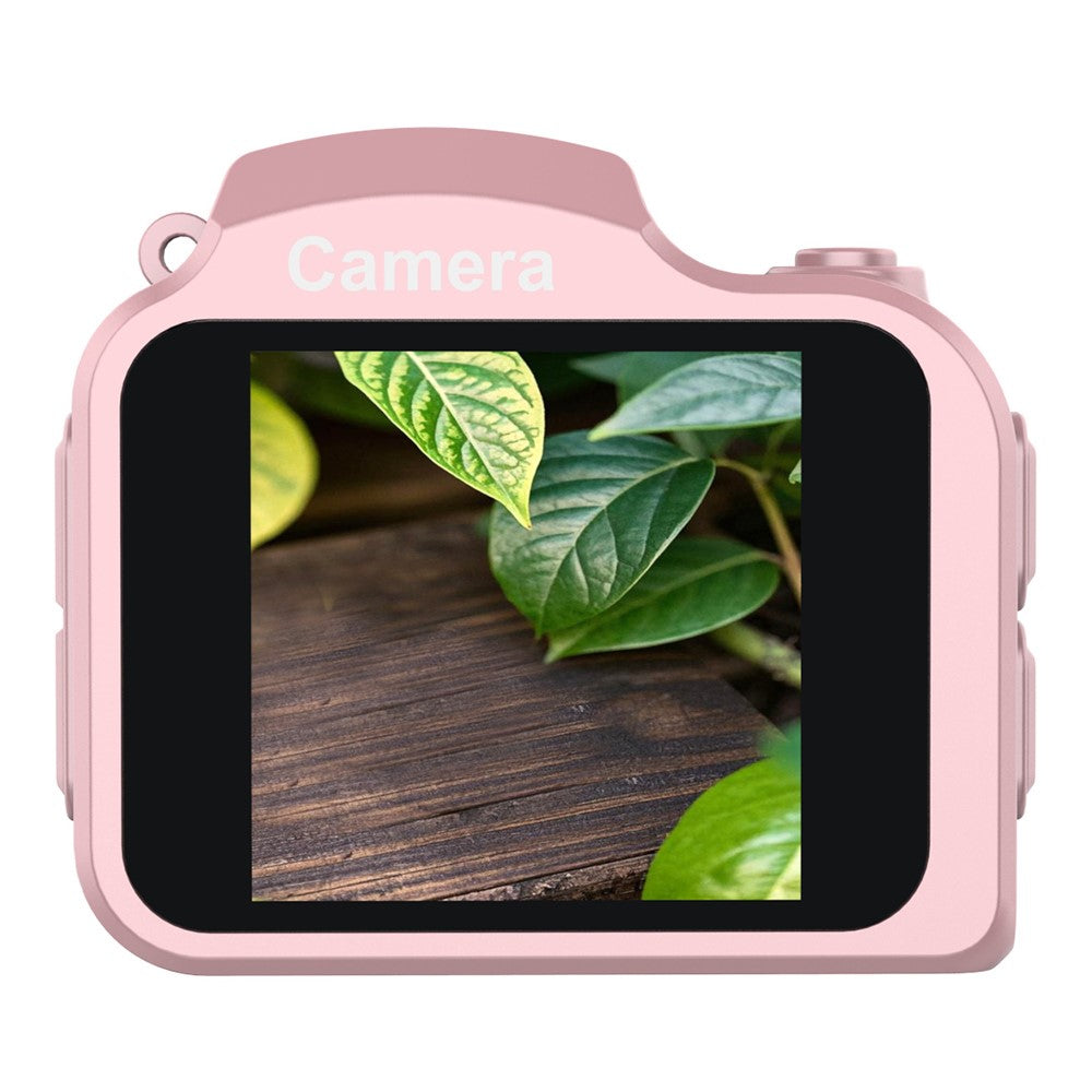 Digital Cameras 