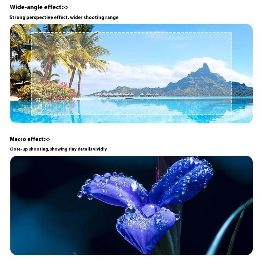 Digital Cameras 