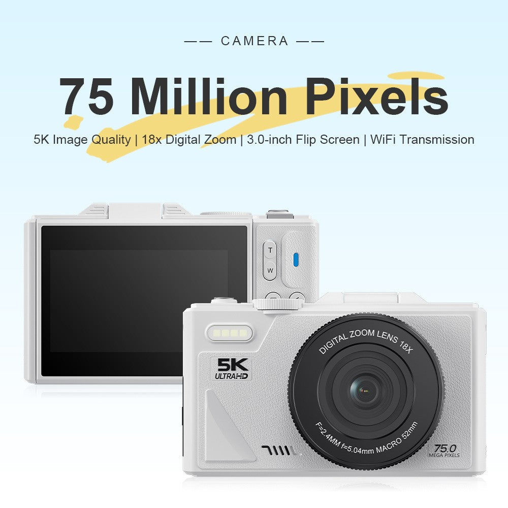 Digital Cameras 