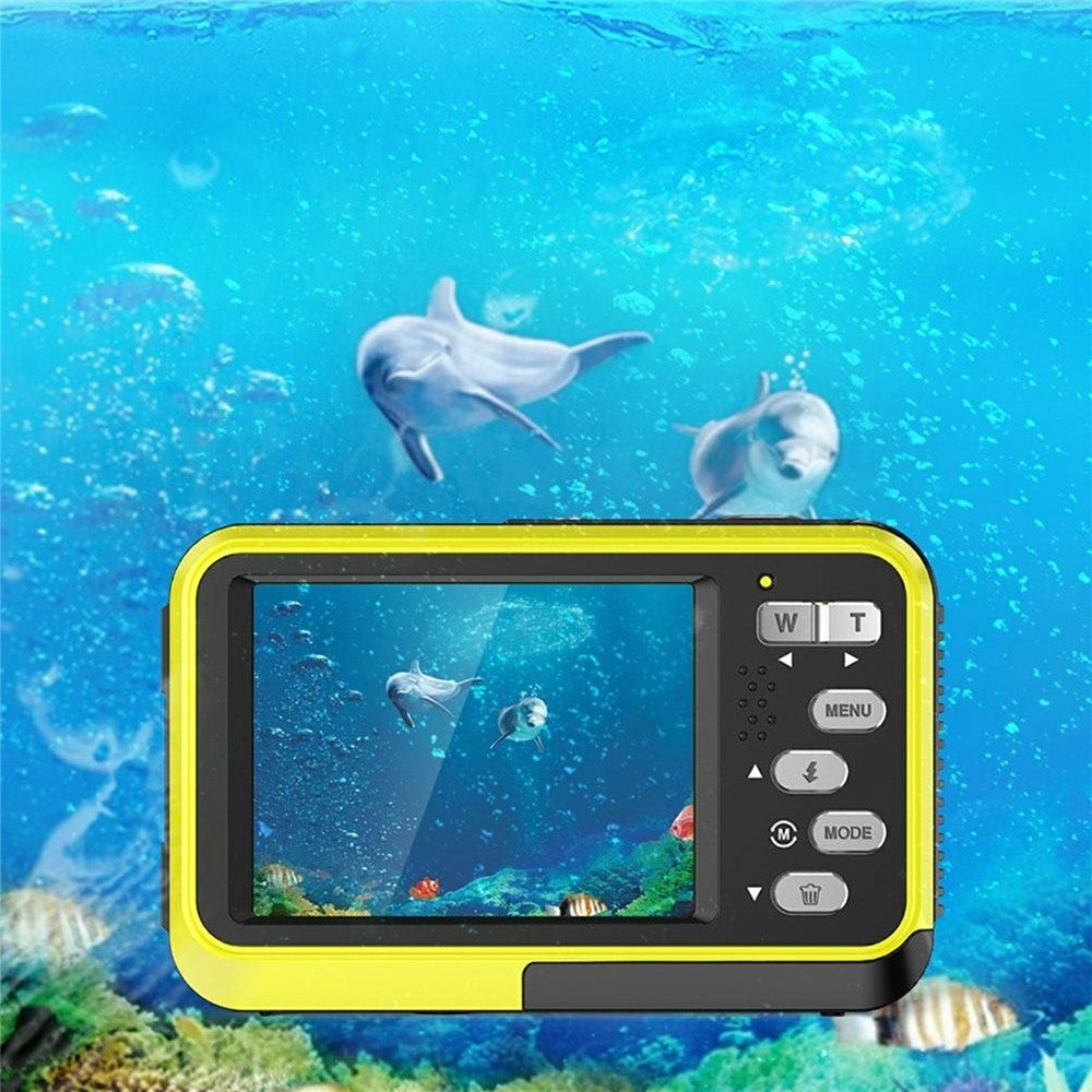 Digital Cameras 