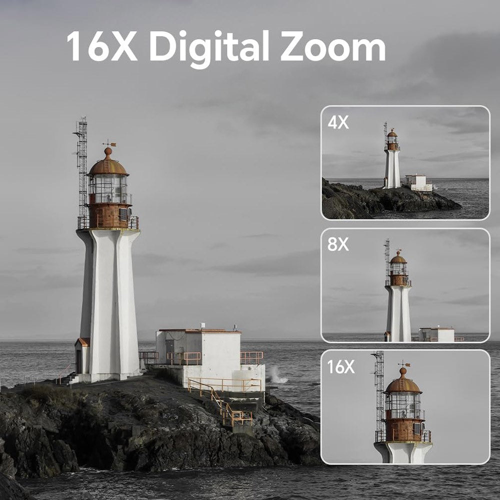 Digital Cameras 