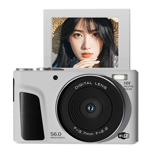 Digital Cameras 