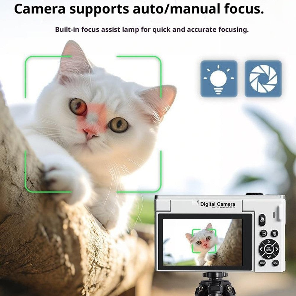 Digital Cameras 