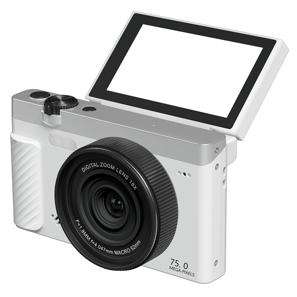 Digital Cameras 