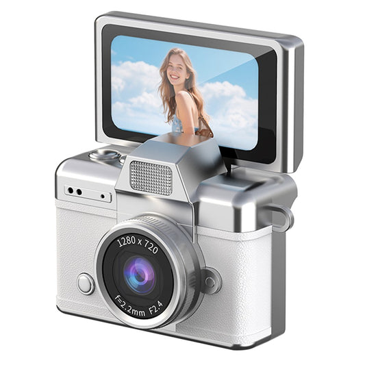 Digital Cameras 