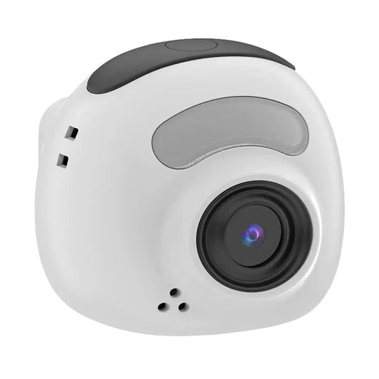 Digital Cameras 