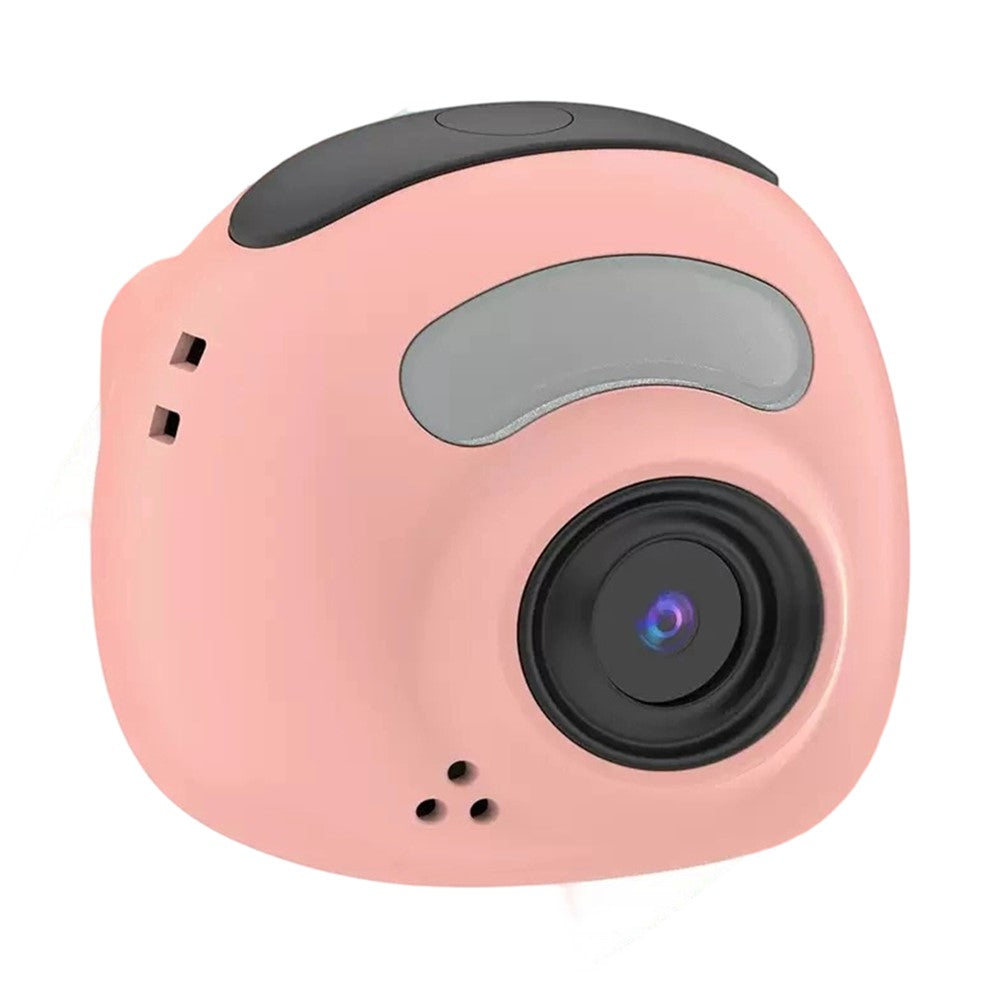 Digital Cameras 