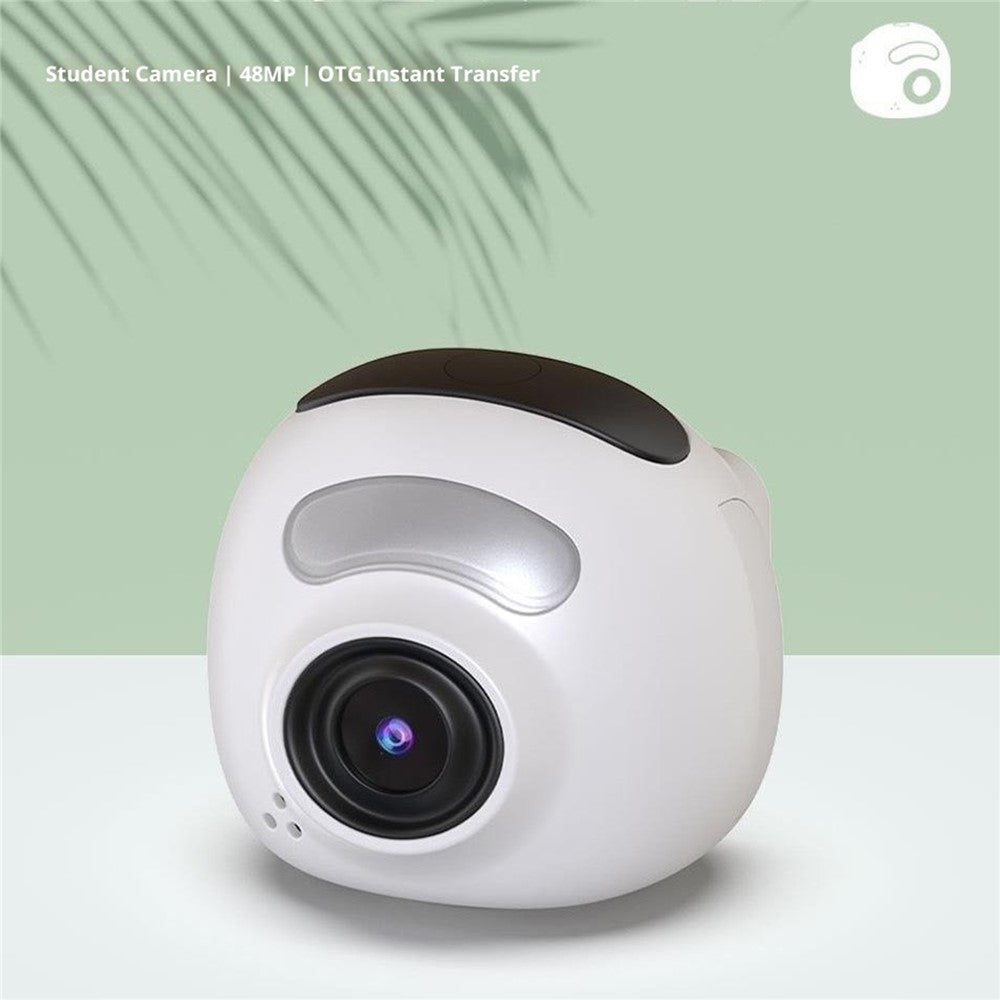 Digital Cameras 