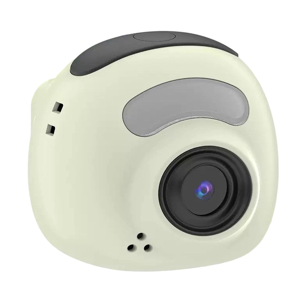 Digital Cameras 