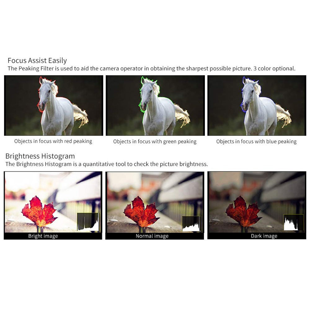 Other Camera Accessories 