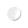 iPad Parts