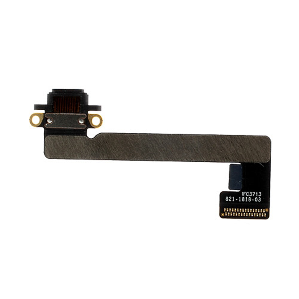 iPad Parts
