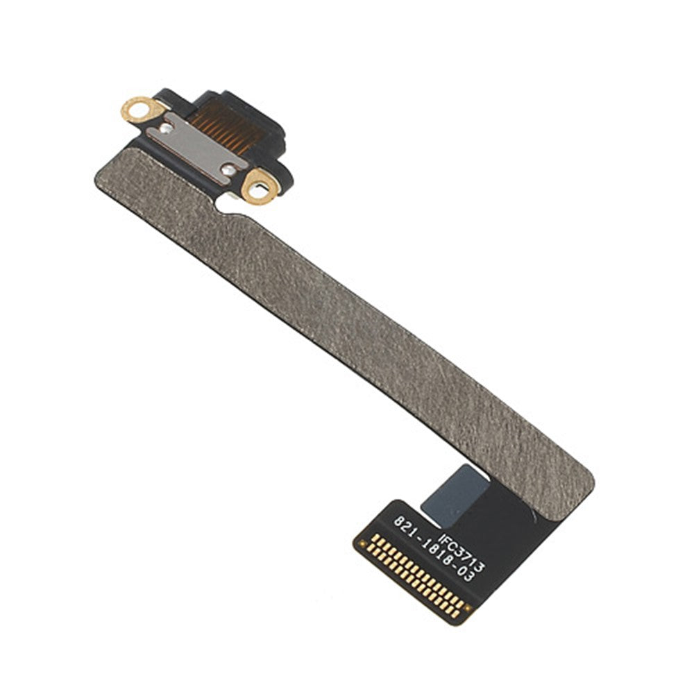 iPad Parts