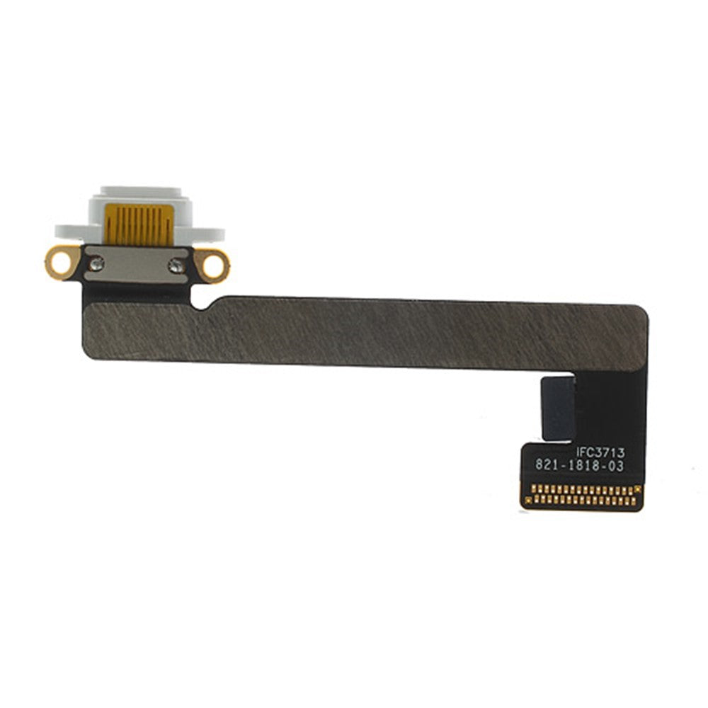 iPad Parts